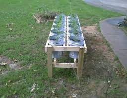 Order today with free shipping. 25 Build A Greenhouse Ideas Vegetable Garden Raised Beds Bucket Gardening Diy Raised Garden