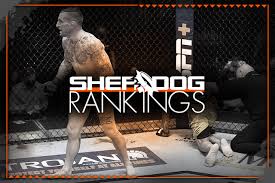 Rob font thinks he may have broken cody garbrandt's jaw | ufc vegas 27 mmaweekly.com07:43. Sherdog S Official Mixed Martial Arts Rankings Redemption