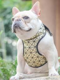 Batman Dog Harness For French Bulldogs Batman Dog French Bulldog Dog Vest Harness