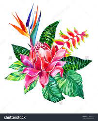 Bouquet Of Jungle Flowers With Ginger Heliconia Bird Of Paradise Sansiveria And Palm Watercolor Paint Jungle Flowers Tropical Flower Tattoos Flower Drawing
