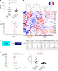 We report content containing child sexual abuse imagery to the national center for missing and exploited children, who work with global law enforcement agencies. Pan Cancer Analysis Of Transcriptional Metabolic Dysregulation Using The Cancer Genome Atlas Nature Communications