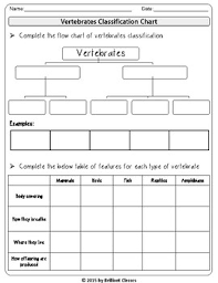 A collection of downloadable worksheets, exercises and activities to teach animal classification, shared by english language teachers. Animal Classification Chart Invertebrates Hamil