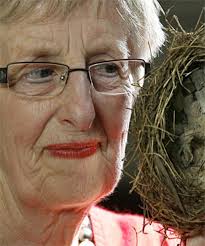 Wellington birds developing nicotine habit?