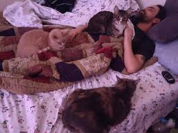 Frederick "Freddy" Rivera's Memorial Website