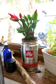 Illy Coffee Tin Plant Pot Illy Coffee Herb Garden In Kitchen Coffee Crafts