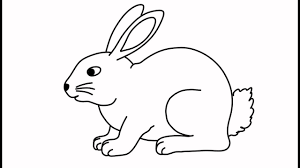 Free Printable Toddler Coloring Pages Shapes Alphabet Flowers Easter Easy Animal Drawings Pet Animals Drawing Animal Drawings