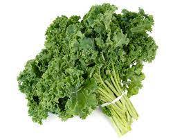 Kale or borecole in one of a kind, nutritious leafy greens that are rich in numerous health benefiting polyphenolic flavonoid compounds such kale is a very versatile and nutritious green leafy vegetable. Kale Stands Above All The Other Green Vegetables