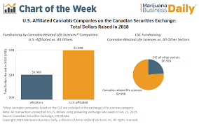 U S Cannabis Companies Led Cse Fundraising 2018