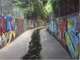 Lafayette Art Series Graffiti Freetown Press