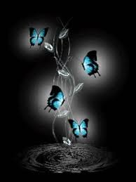Variedad Mariposas Fondos De Pantalla Pantalla En Movimiento Fondos De Pantalla En Movimiento