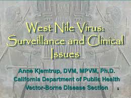 770 the city dr s ste 7300. Ppt West Nile Virus Surveillance And Clinical Issues Powerpoint Presentation Id 5531198