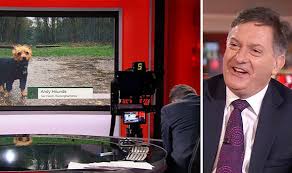 Bbc news is an international broadcasting channel which is exploring current affairs, trends and news for the people around the world. Bbc News Host Simon Mccoy Issues Sarcastic Demand For Bbc Weather Report Uk News Express Co Uk