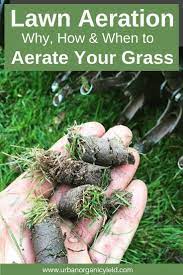 In Order To Achieve And Maintain A Beautiful Lawn You Should Employ Basic Lawn Care Practices Such As Properly M Organic Lawn Care Organic Lawn Fall Lawn Care
