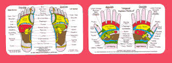 reflexology books and charts for sale international