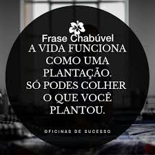 Frases Chabuveis Podem Mudar O Mundo Home Facebook
