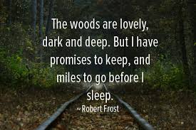 The Woods Are Lovely Dark And Deep But I Have Promises To Keep And Miles To Go Before I Sleep Robert Fros Before I Sleep Robert Frost Quotes Pretty Words