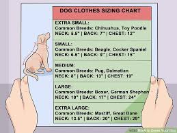 5 Ways To Dress Your Dog Wikihow