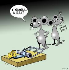 I Smell A Rat By Toons Nature Cartoon Toonpool Cartoon Rats Funny Cartoons