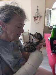 Hello everyone, I rescued this sweet little angel without a mother who was  lying