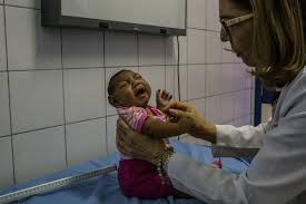 Image result for image of zika