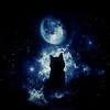 Moon, 4k ultra hd backgrounds, mansur kearsley from goldwallpapers.com himmel mond rosa katze mädchen sonnenuntergang. 1