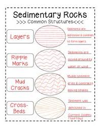 Sedimentary Rocks Common Structures Graphic Organizer