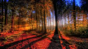 Fall Hd Desktop Wallpaper Widescreen High Definition Herbstbilder Landschaftsbilder Bilder