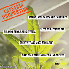 But in the somewhat less likely scenario that he breaks it all into eighths, that would be a $600 profit ($150 per ounce). Cannabis Uncovered We Ve Got To Normalise Weed And Educate People Intercardiff