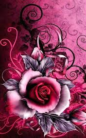 خلفيات موبايل اجمل الخلفيات للموبايل صور خلفيات موبايل بجودة عالية Hd موقع مفيد لك Rose Art Flower Art Flower Painting