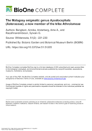 Image result for Anisopappus kirkii