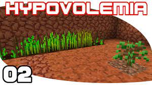 Finally, click install at the bottom right of the launcher after you select hypovolemia from the list on the left. Hypovolemia Ep 2 Growing Stuff Hypovolemia Minecraft Modpack Let S Play Youtube