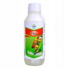 Image result for květopas jahodníkový