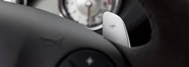 Check out skullsplitter dice's guide on how to play a pathfinder shifter. How To Use Paddle Shifters What Do Paddle Shifters Do