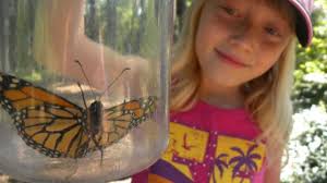 All the best botanical gardens in Canada