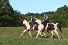 Distance Days – 90th Annual 100-Mile Competitive Trail Ride