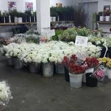 Maybe you would like to learn more about one of these? Photos At Berkeley Florist Supply Flower Shop In Allapattah