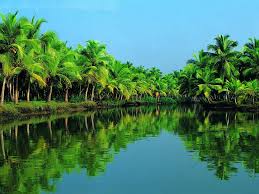 Success Quotes Kerala Wallpapers Kerala Backwaters Tourist Places Cool Places To Visit