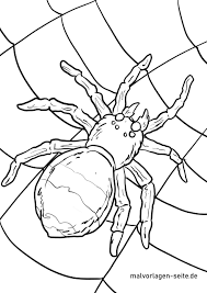 Malvorlage Spinne Kostenlose Ausmalbilder