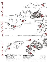 Coast Coloring Page Ocean Zones Sea Activities Ocean