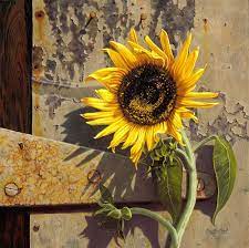 Sunflower At The Old Factory Oil Painting By Camille Engel Sunflower Painting Sunflower Flower Sunflower Art