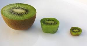 Image result for foto minikiwi