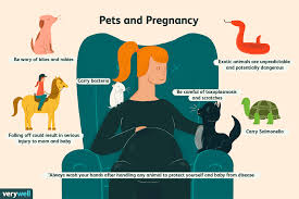 Check spelling or type a new query. Pets And Pregnancy Safety And Tips