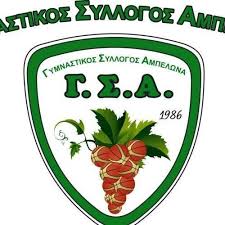 Γ.Σ. Αμπελώνα basketball