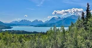 Image result for Denekia