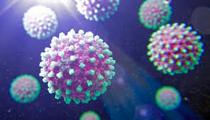 Image result for Virus