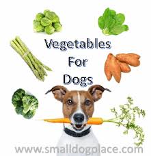 Vegetables For Dogs 20 Nutritious Treats For Your Dog