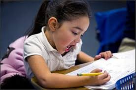 Momentum Builds for Dual-Language Learning