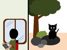 Kucing ini juga jenis yang mudah untuk di atur. Di Luar Ada Kucing Hitam Yang Menyeringai Ke Arahnya Oland Terkejut Dan Segera Berlari Ke Luar Rumah Terlihat Kucing Itu Berlari Kucing Hitam Kucing Cerita