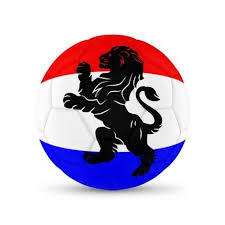 Check spelling or type a new query. Euro2021 Heb Jij Al Een Dutch Lions Nederlands Elftal Shirt