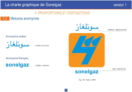 La Charte Graphique De Sonelgaz Version1 Pdf